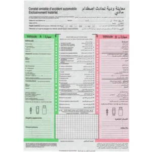 Constat, Document administratif, Format standard